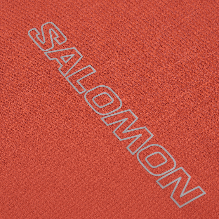Salomon SENSE AERO RUNNING LS TEE GFX M T — фото 3