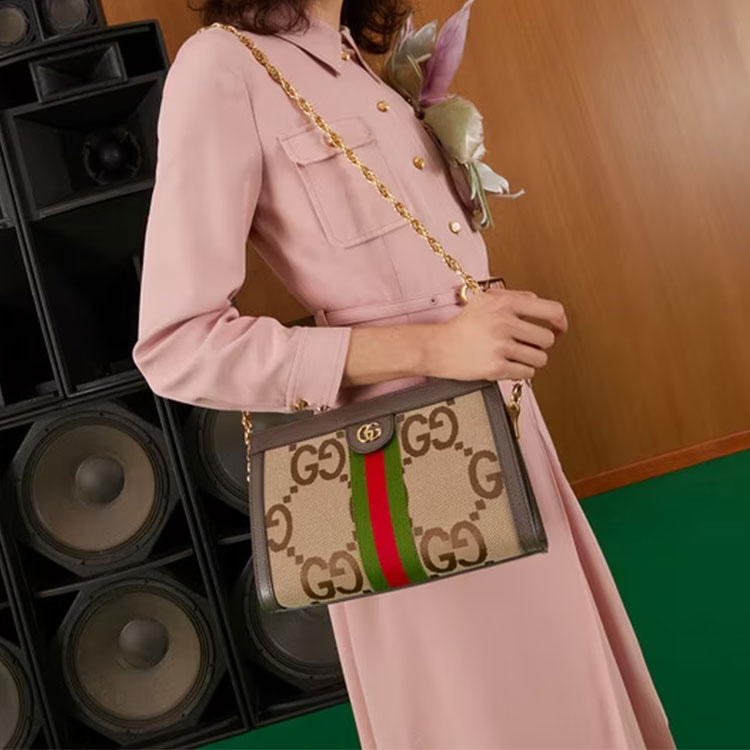 Gucci Ophidia Beige Brown — фото 8