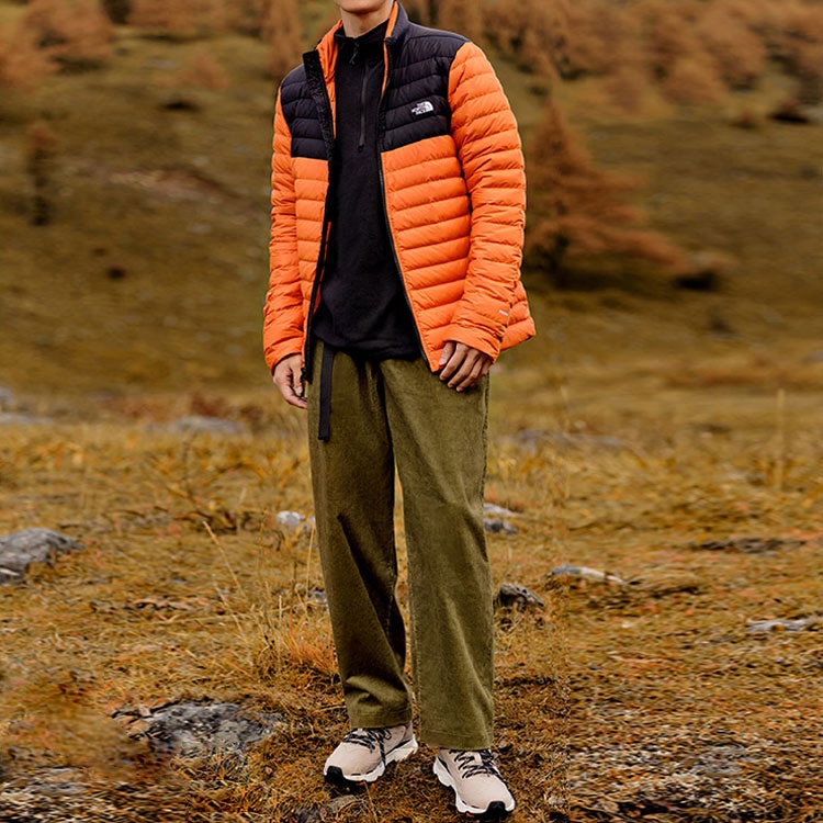 The North Face Одежда (Арт. NF0A4NG4-T97) — фото 3