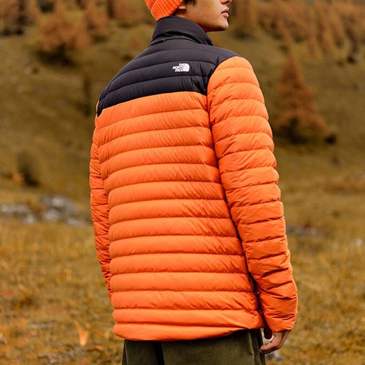 The North Face Одежда (Арт. NF0A4NG4-T97) — фото 2