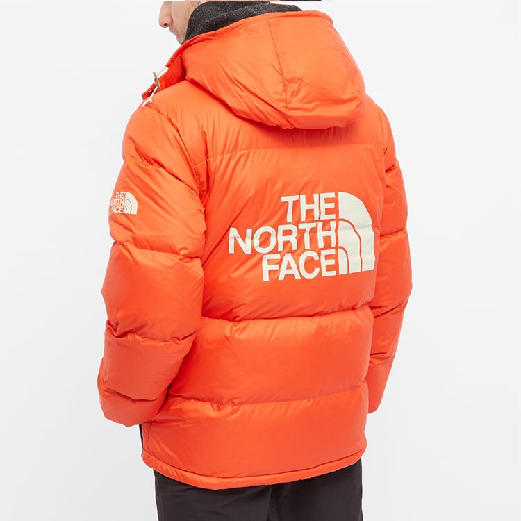 The North Face Одежда (Арт. NF0A5EIE-0TV) — фото 4
