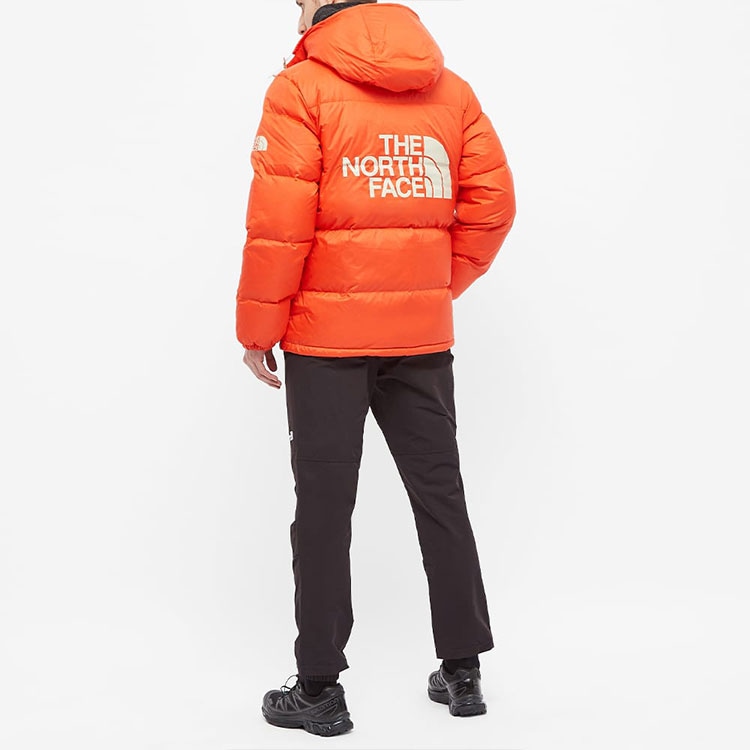The North Face Одежда (Арт. NF0A5EIE-0TV) — фото 2