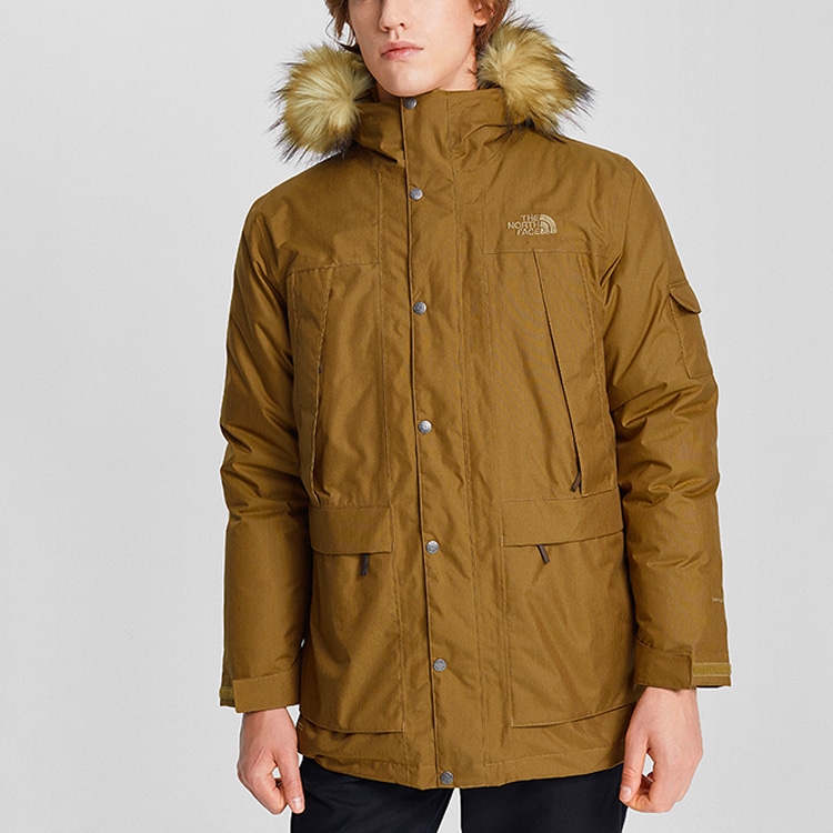 The North Face Одежда (Арт. NF0A4NBG-173) — фото 3
