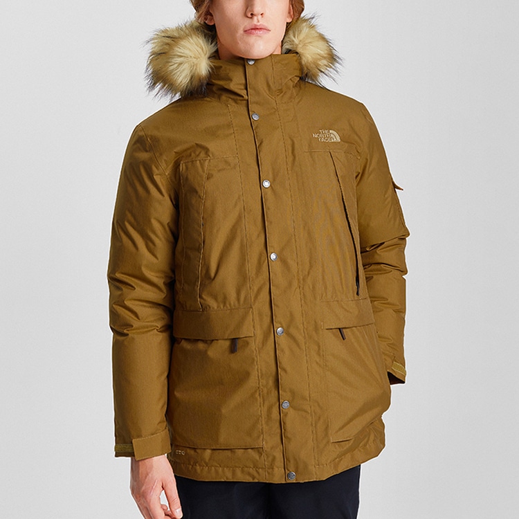 The North Face Одежда (Арт. NF0A4NBG-173) — фото 1