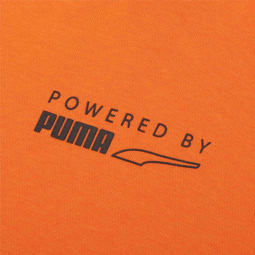 Puma Protec.t Hoodie — фото 2