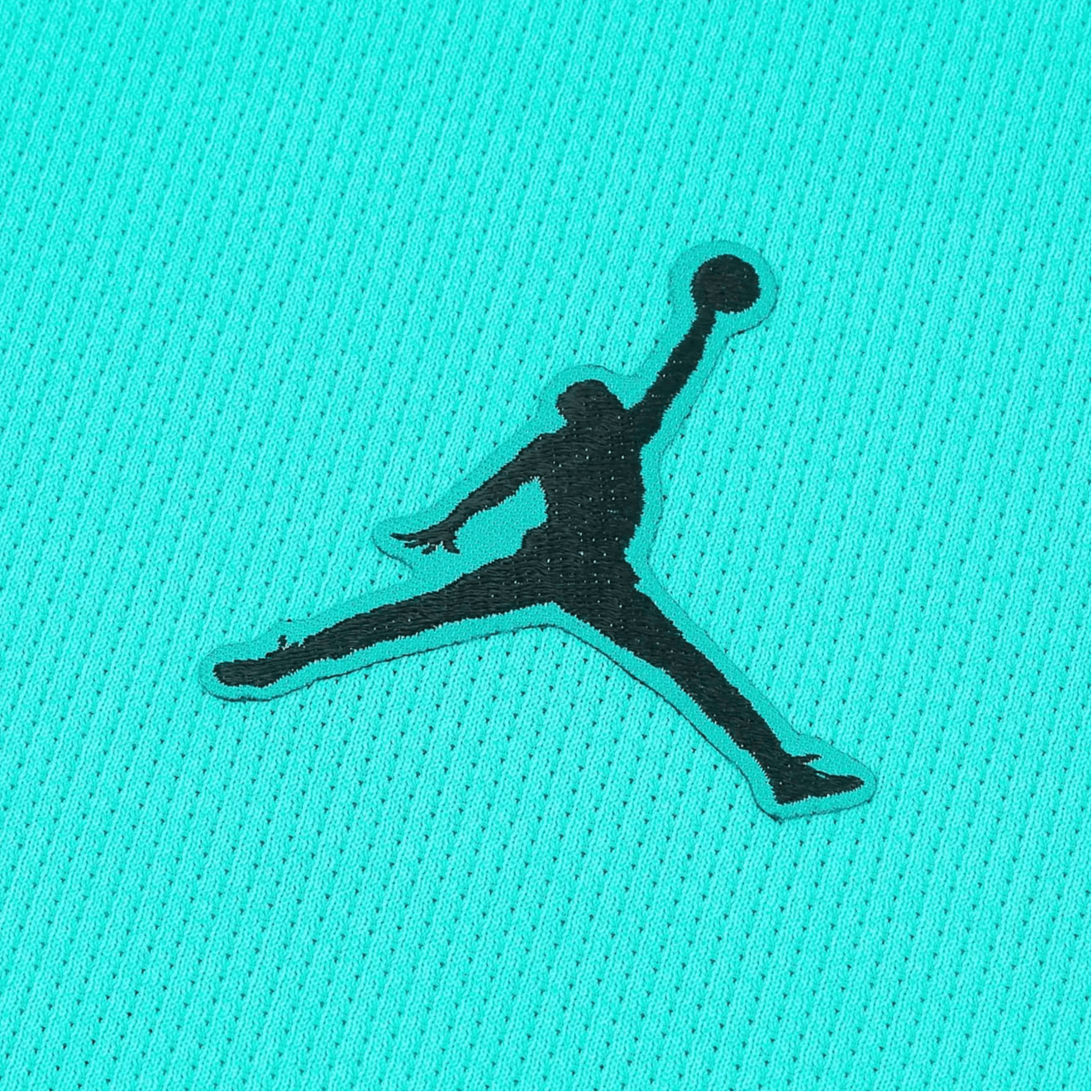 Jordan x 2018-19 logo — фото 2