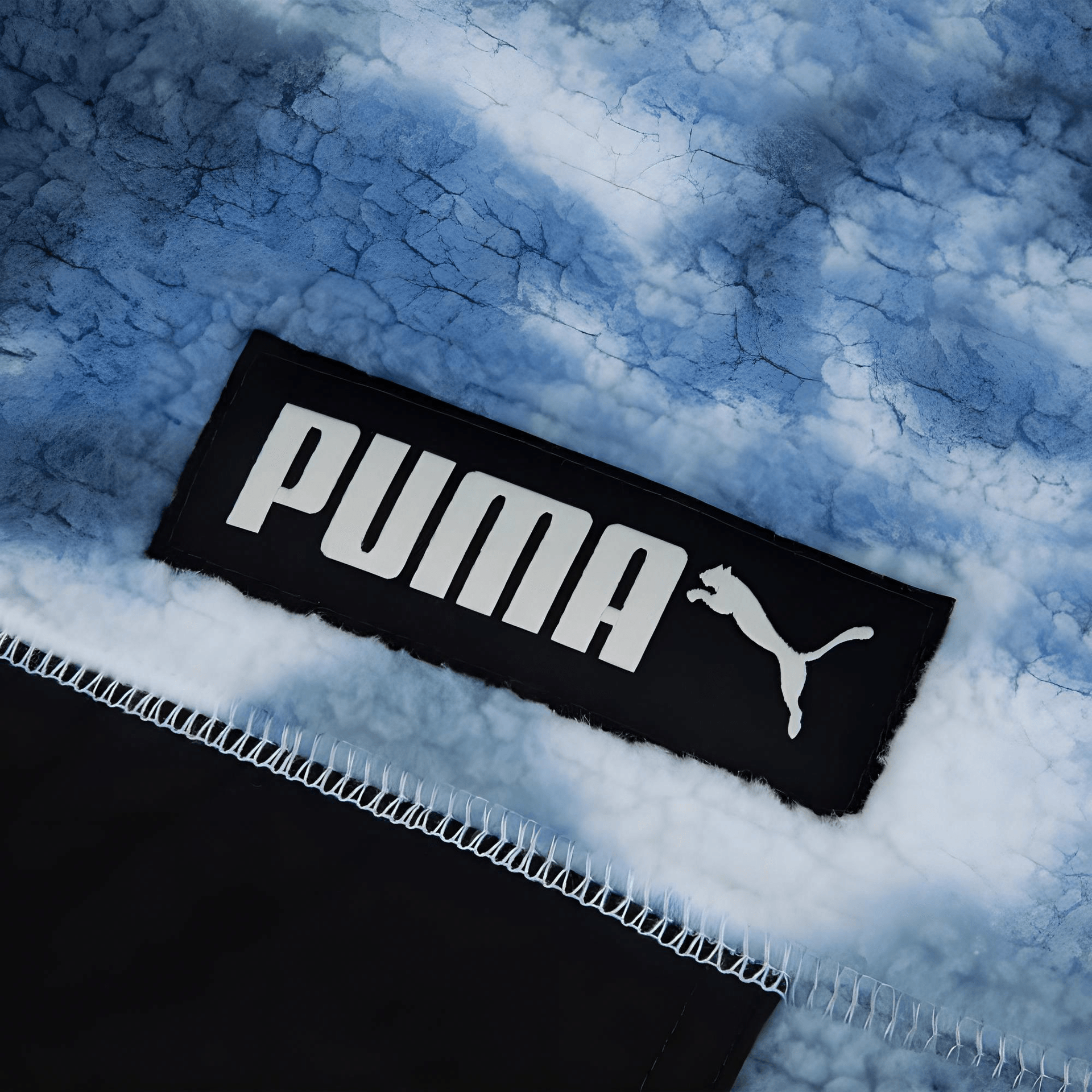 Puma Logo — фото 2