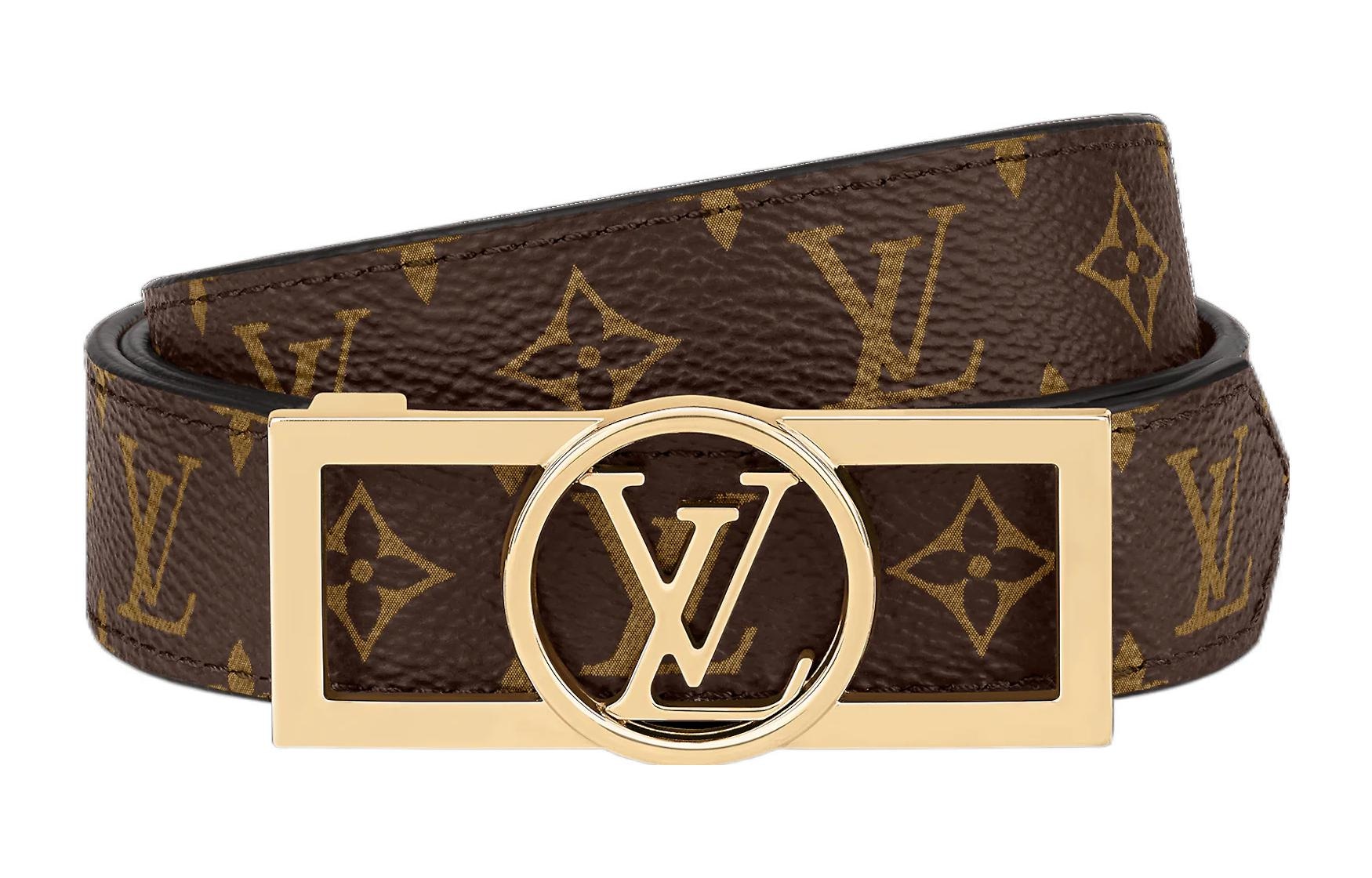 Louis Vuitton LV DAUPHINE 25 Monogram 2.5cm — фото 1