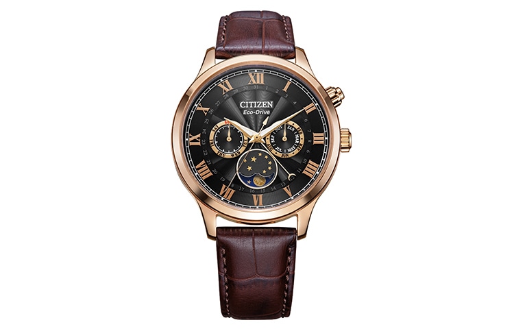 Часы Citizen AP1059-19E