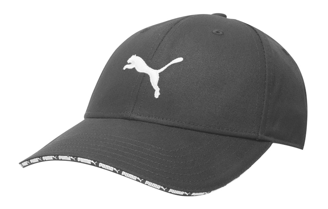 Puma Logo