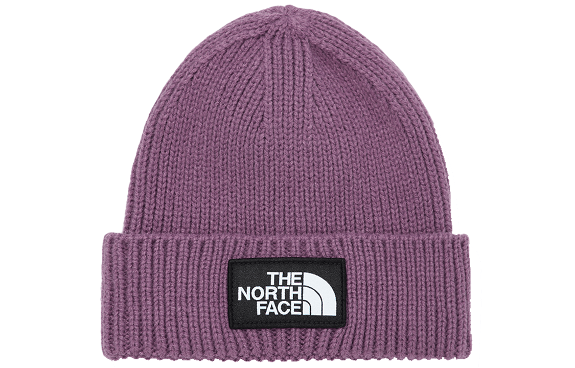 北面/THE NORTH FACE The North Face Classic Logo Knit Beanie Purple