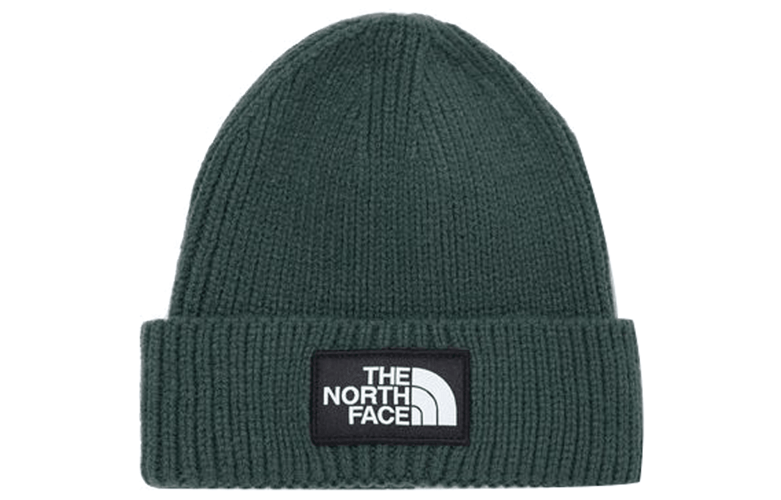 北面/THE NORTH FACE The North Face Classic Logo Beanie Dark Green