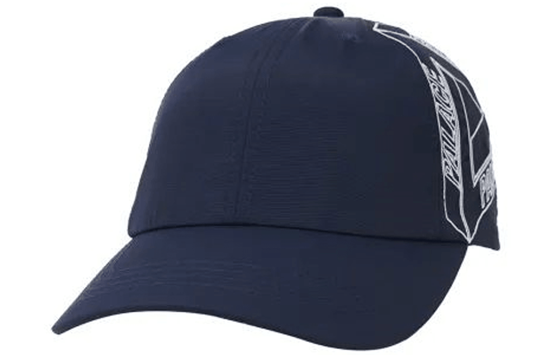PALACE logo