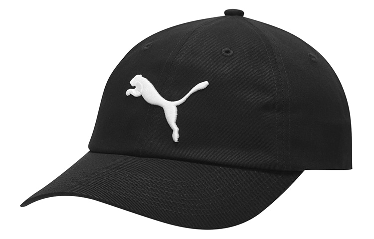 Puma Logo