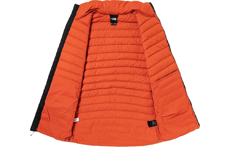 The North Face Одежда (Арт. NF0A4NG4-T97) — фото 1