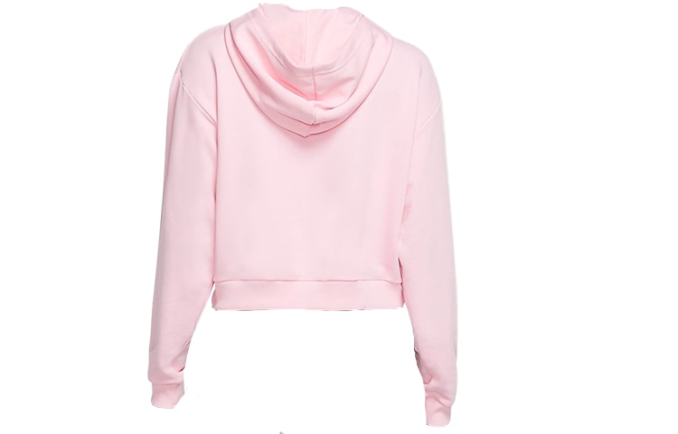 Nike Sportswear Hoodie Pink — фото 1