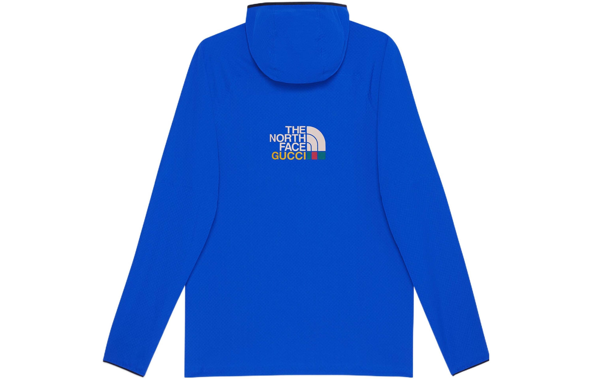 Gucci x The North Face SS22 Hoodie — фото 1