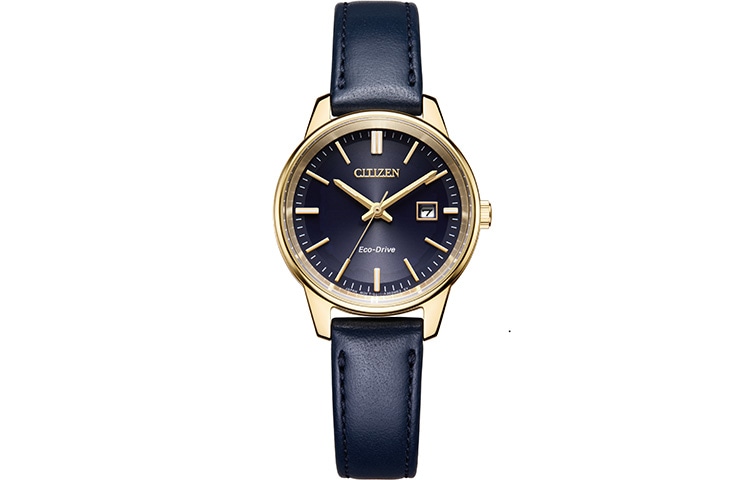 CITIZEN/西铁城 CITIZEN 50 EW2662-19L