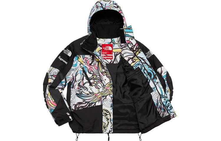Supreme x The North Face Steep Tech Apogee Jacket — фото 10