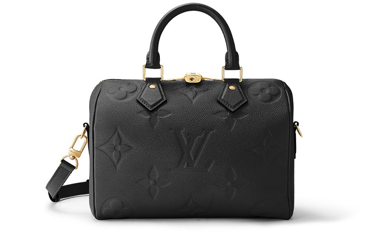 Сумки Louis Vuitton Speedy 25