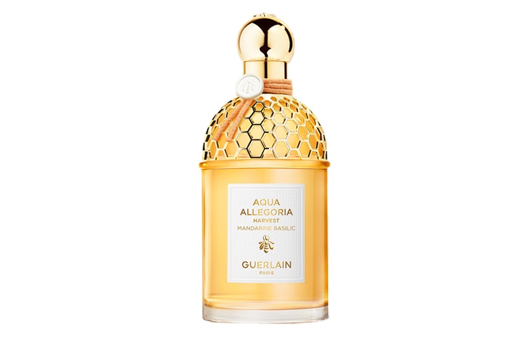 GUERLAIN/娇兰 EDT 125ml2023