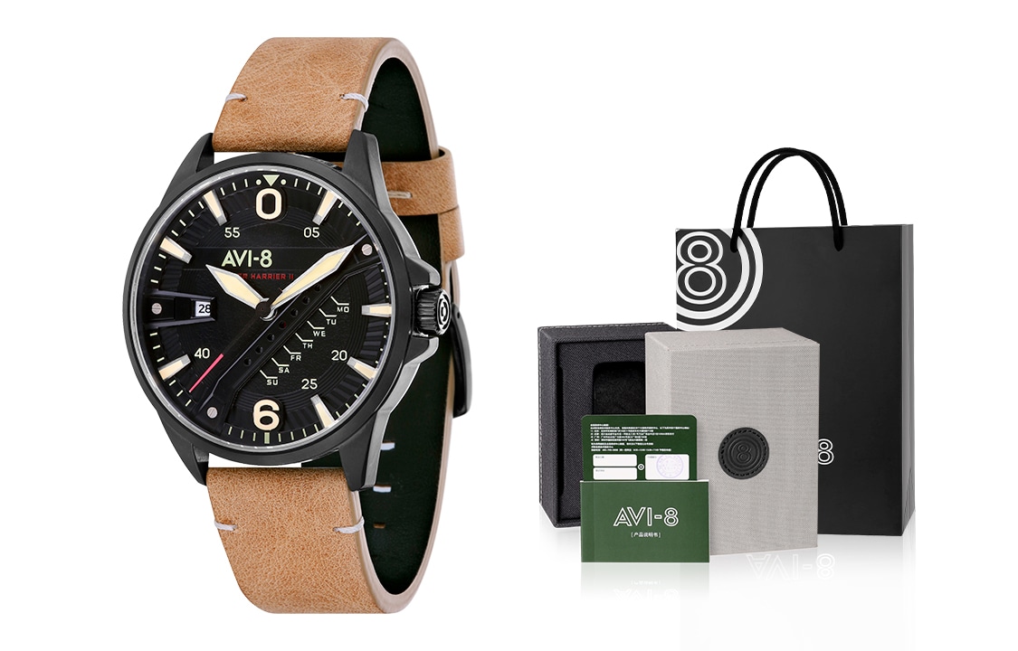 Часы Avi-8 AV-4055-04