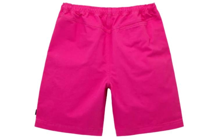 Stussy SS22 Brushed Beach Short — фото 9