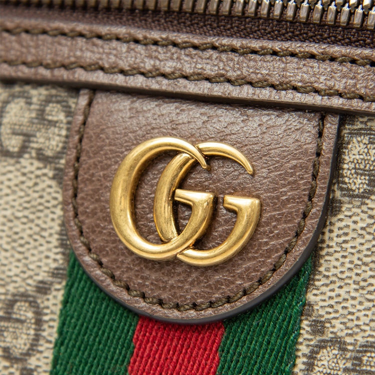 Gucci Ophidia — фото 9