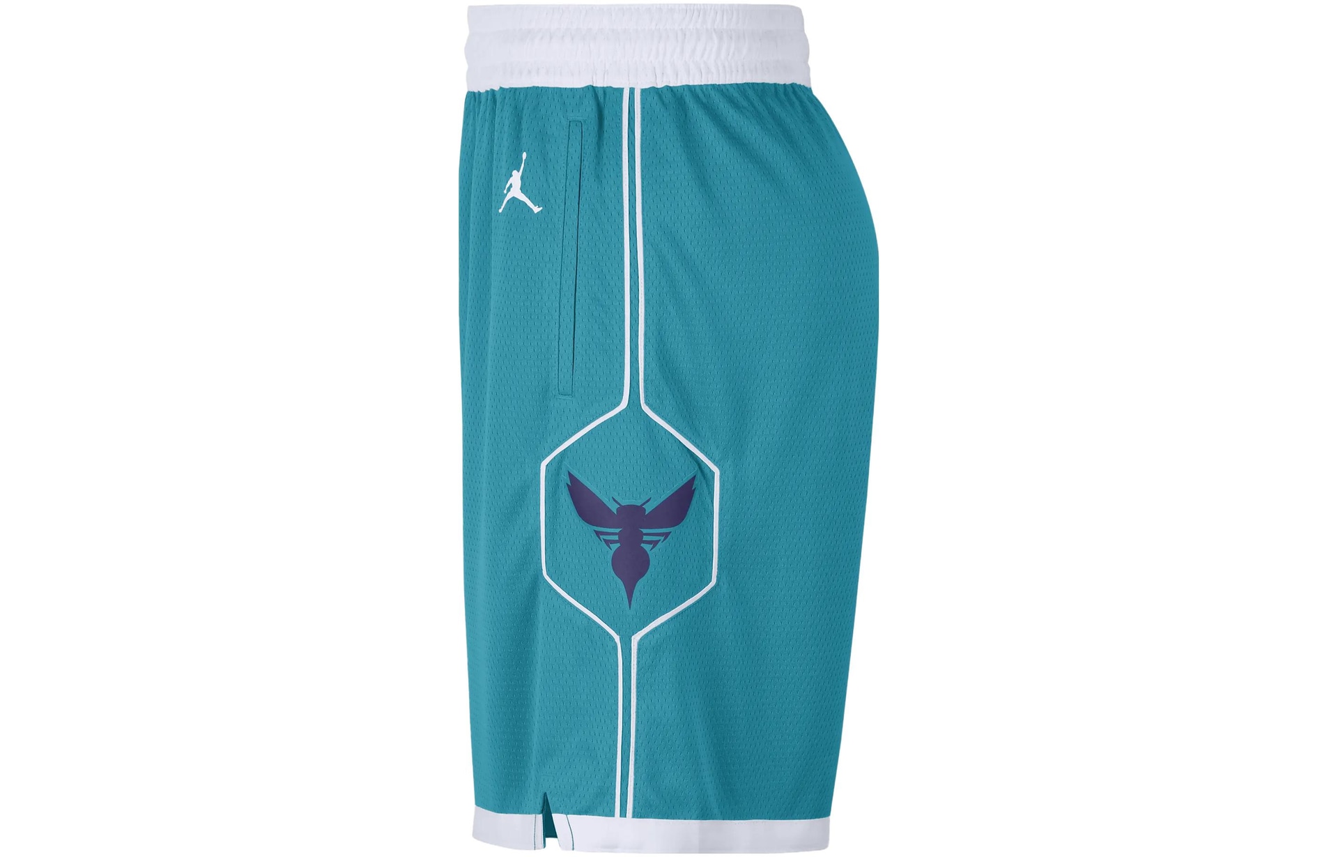 Jordan NBA Charlotte Hornets Shorts — фото 2