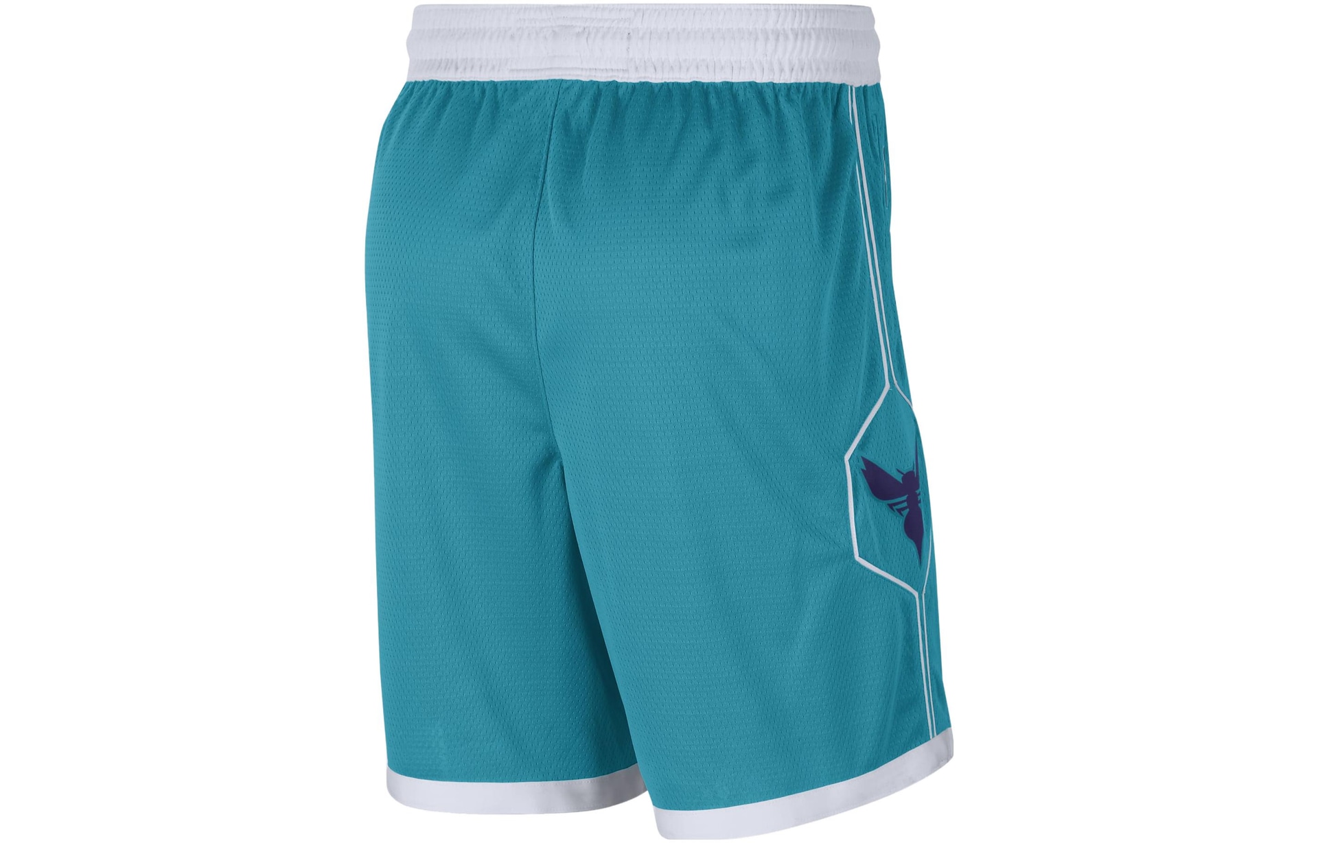 Jordan NBA Charlotte Hornets Shorts — фото 1