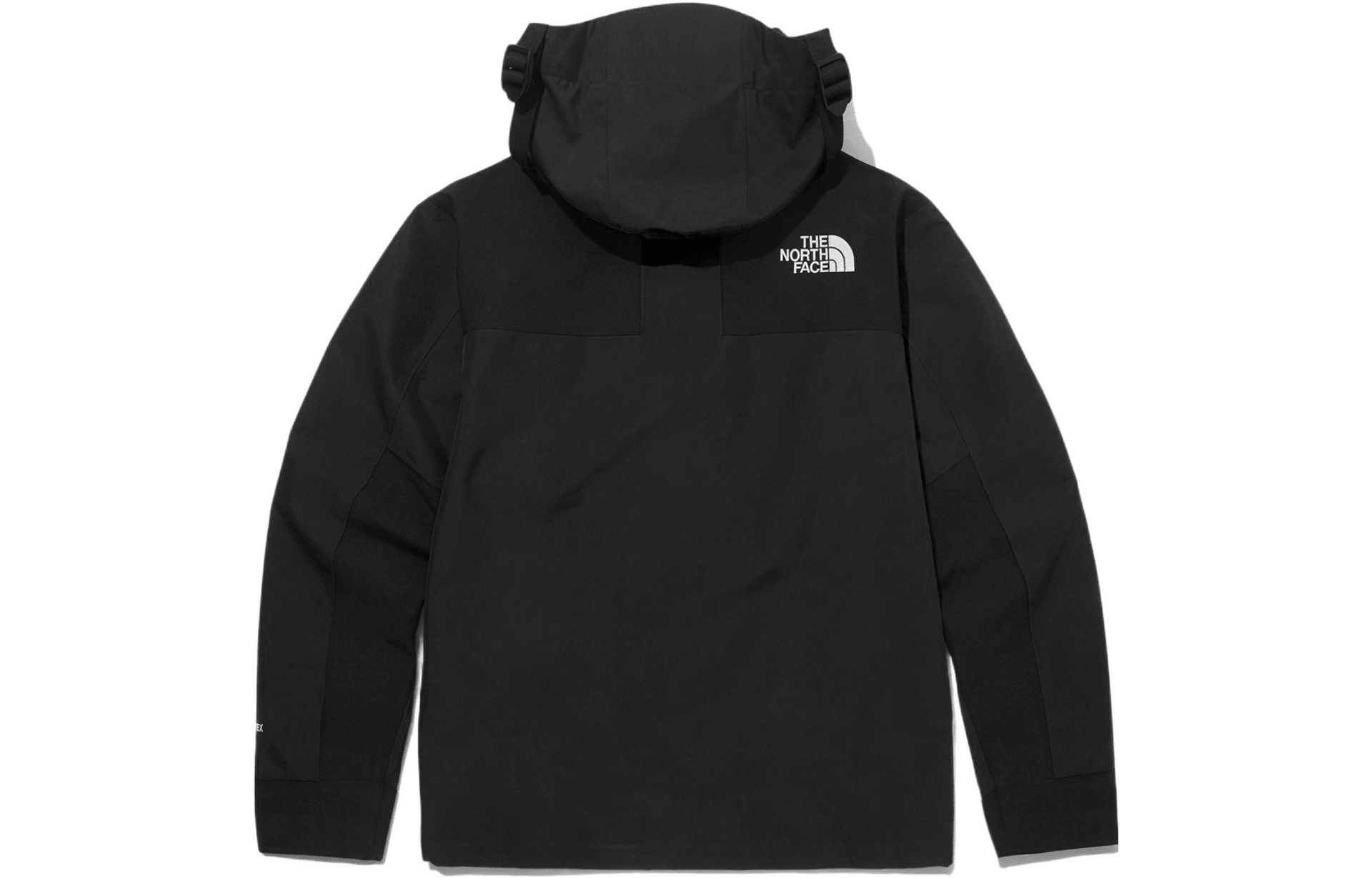 The North Face Eco Gtx Logo Jacket — фото 1