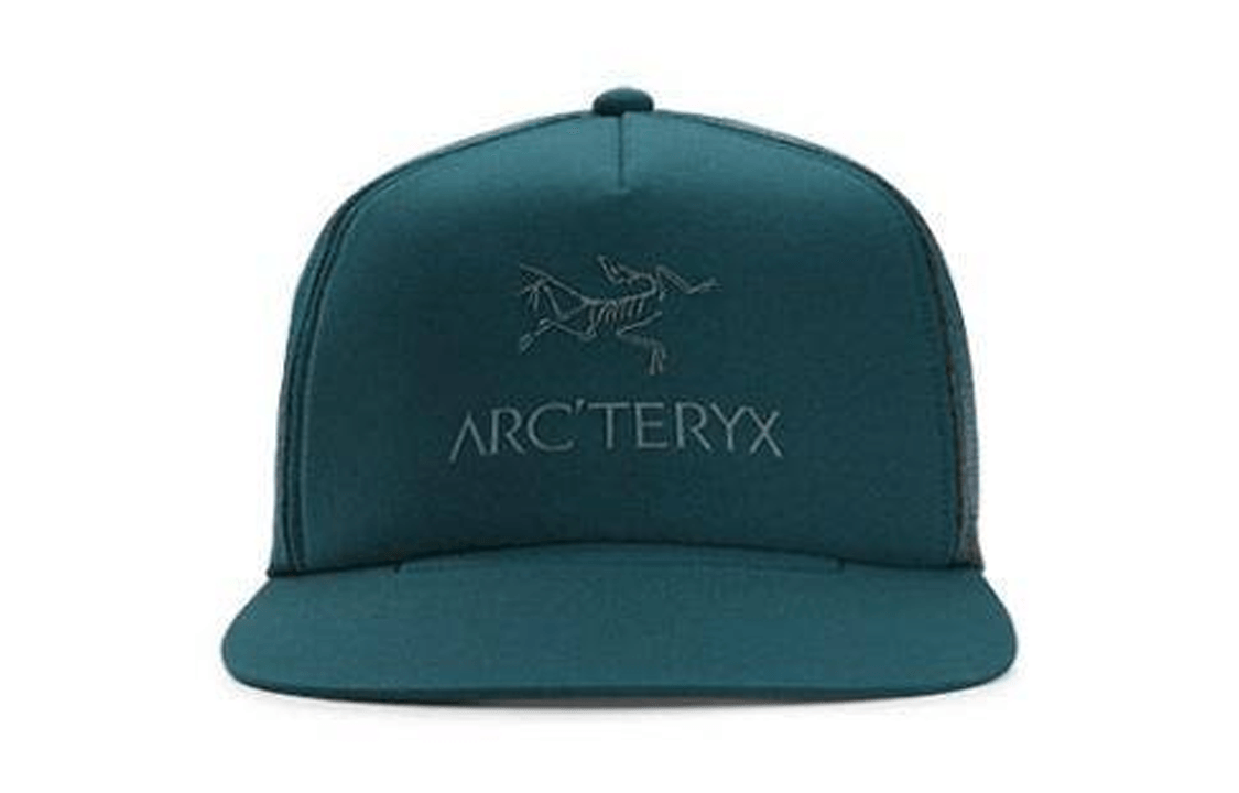 Arcteryx Logo — фото 3