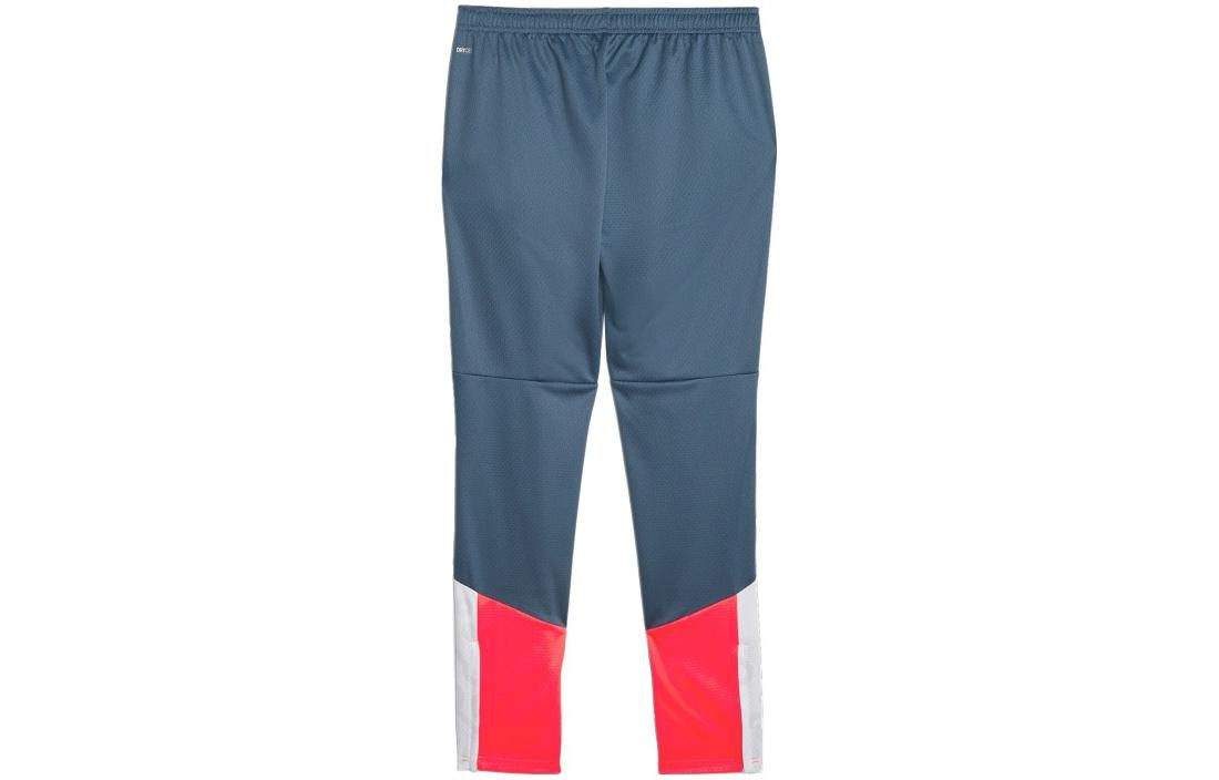 Puma Individualcup Training Pants — фото 1