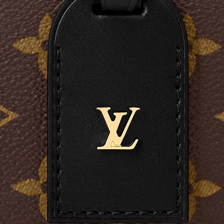 Louis Vuitton Petite Malle Souple — фото 3