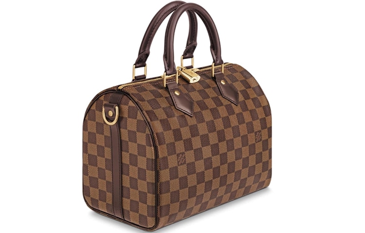 Louis Vuitton Speedy 25 — фото 1