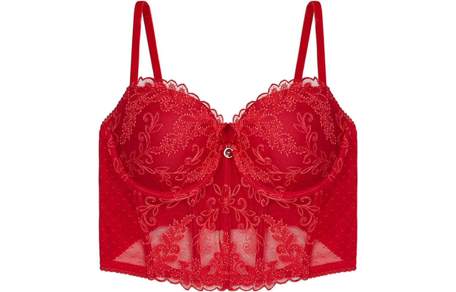 Victoria'S Secret Dream Angels Embroidered Bustier Red