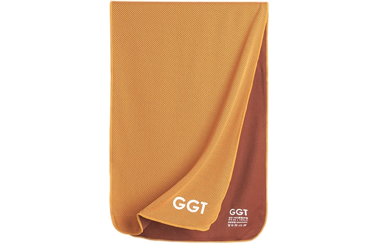 GGT (Арт. GA-103) — фото 1