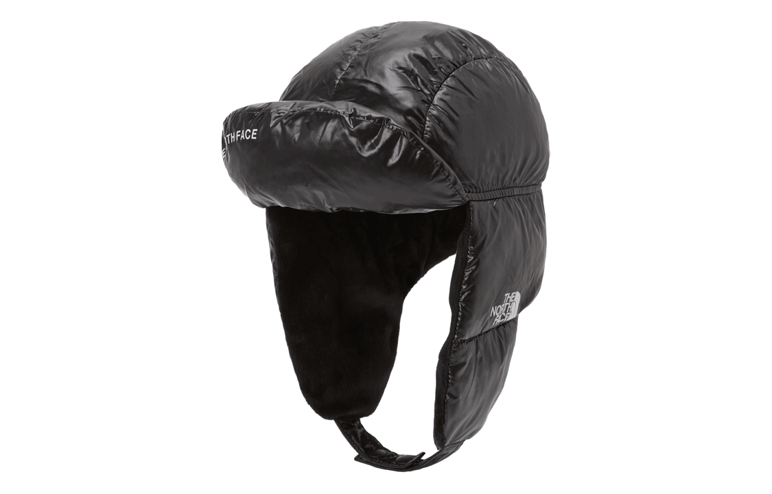 北面/THE NORTH FACE The North Face Logo Beanie Black