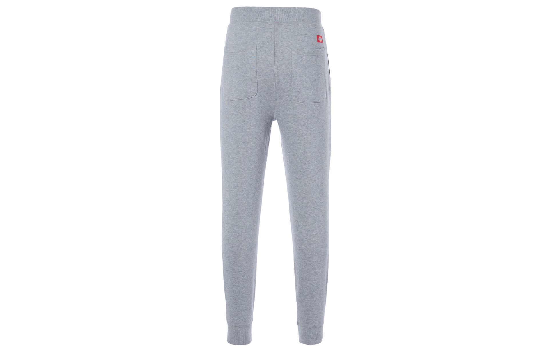 Dickies FW21 Logo — фото 1