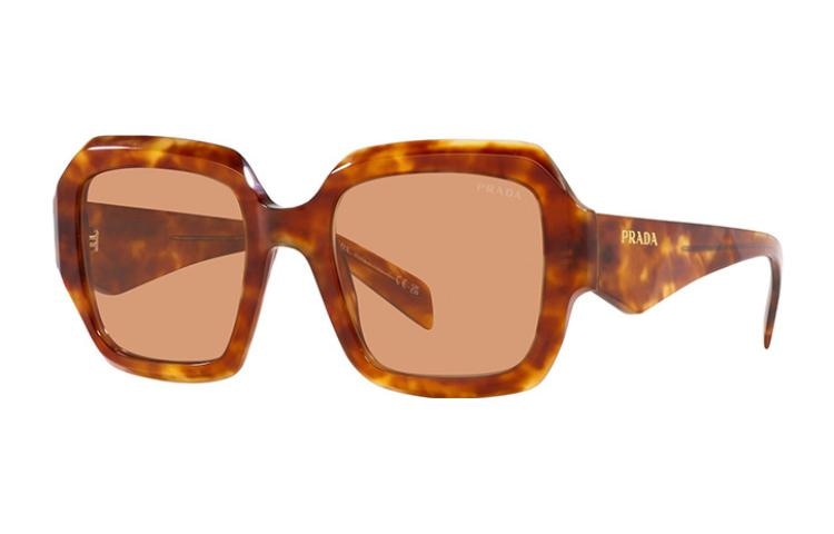 Prada Logo Sunglasses Tortoise