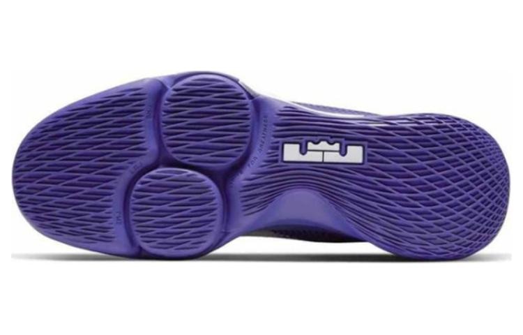 Nike Witness 4 LeBron EP — фото 9