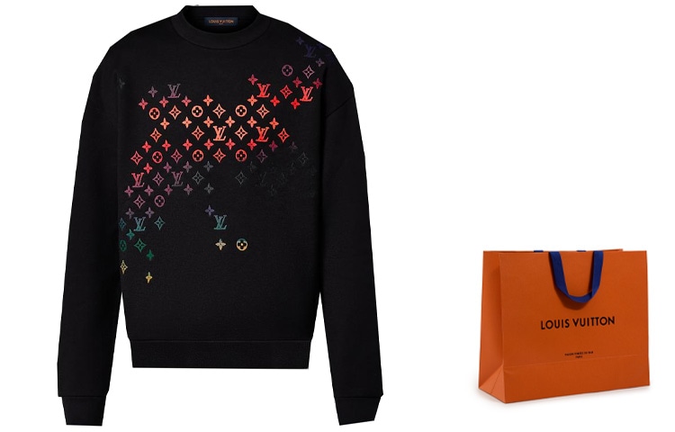 Louis Vuitton Худи (Арт. 1AFB69) — фото 1