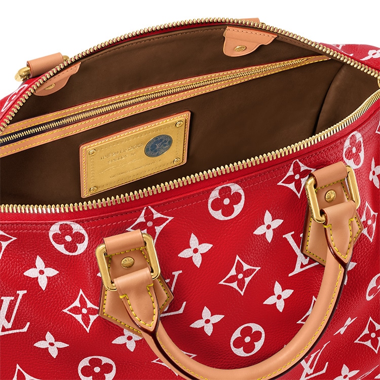 Louis Vuitton Speedy 40 — фото 6