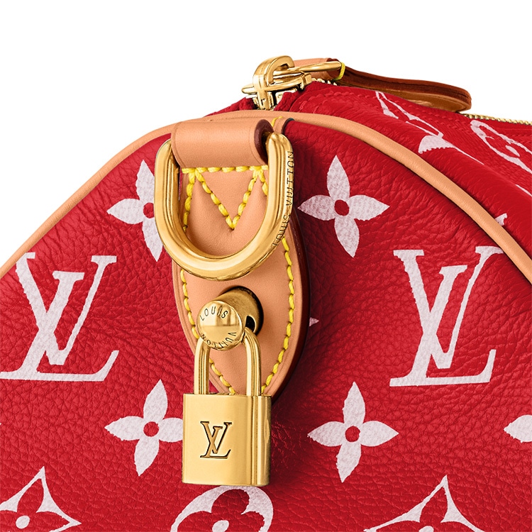 Louis Vuitton Speedy 40 — фото 7