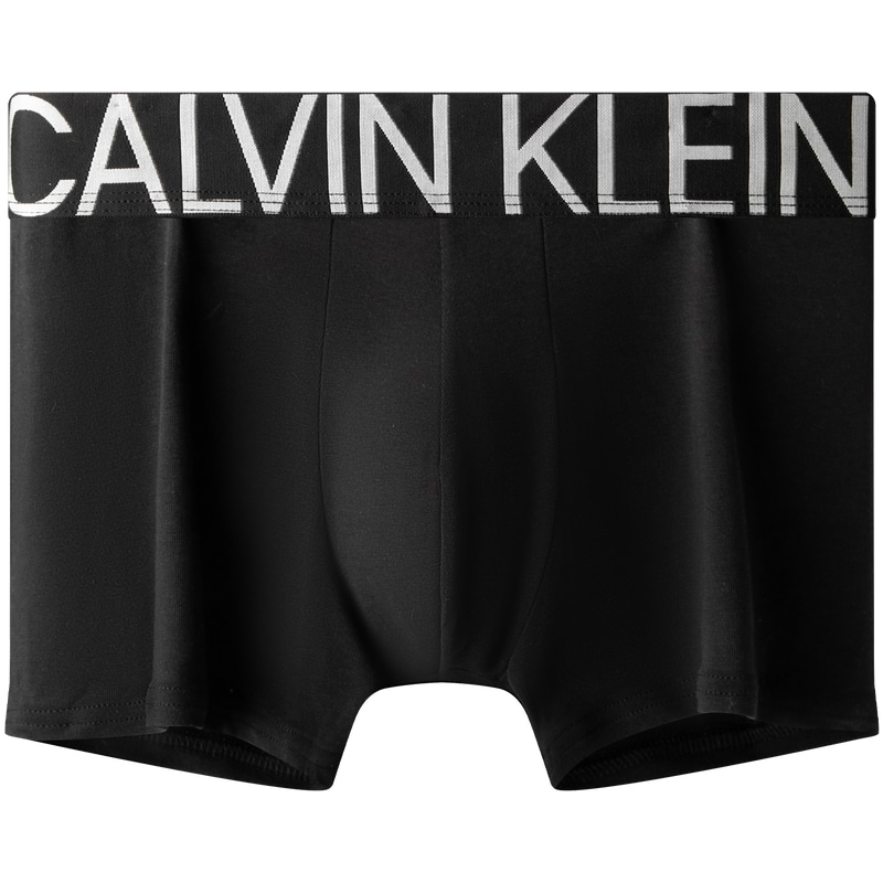 Calvin Klein Logo 1