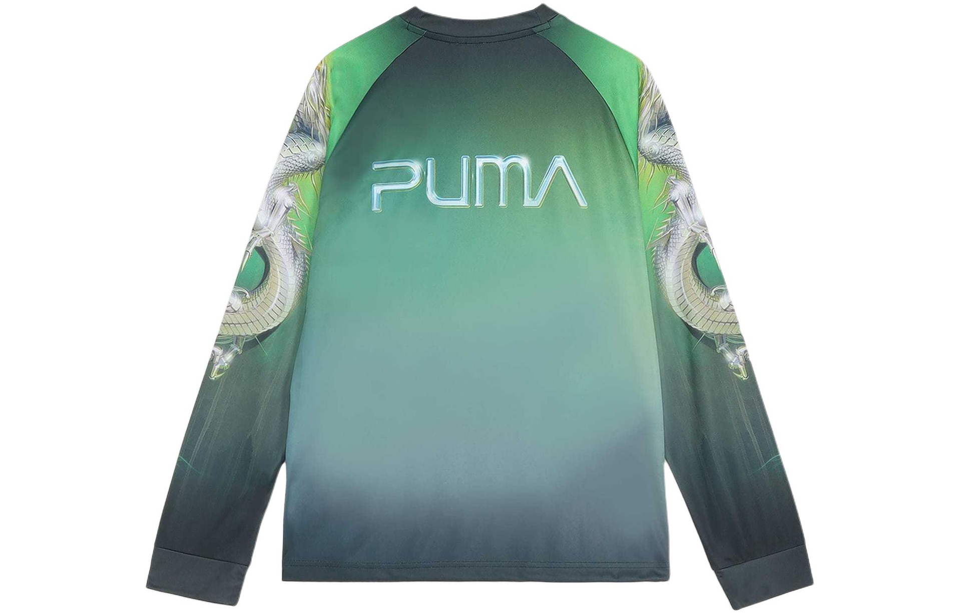 Puma SS24 Dragon Graphic Long Sleeve Tee Black — фото 1