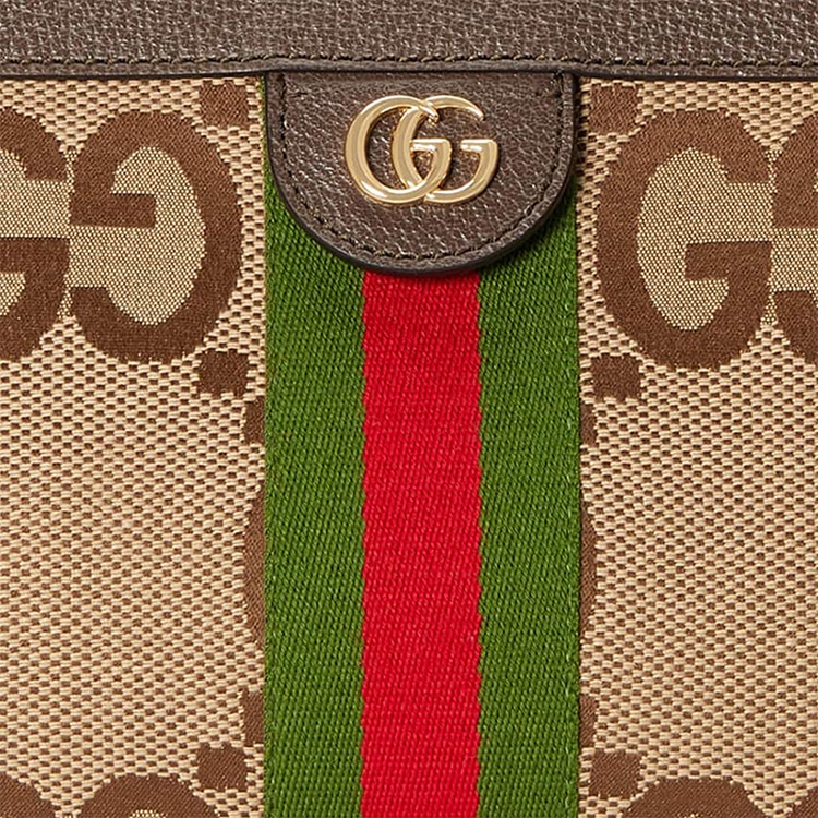 Gucci Ophidia Beige Brown — фото 7