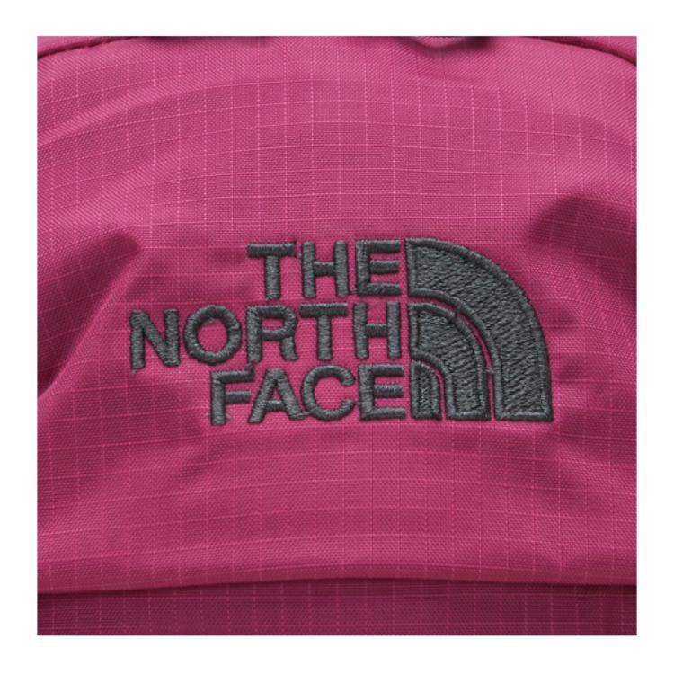 The North Face Mini Backpack Purple — фото 4