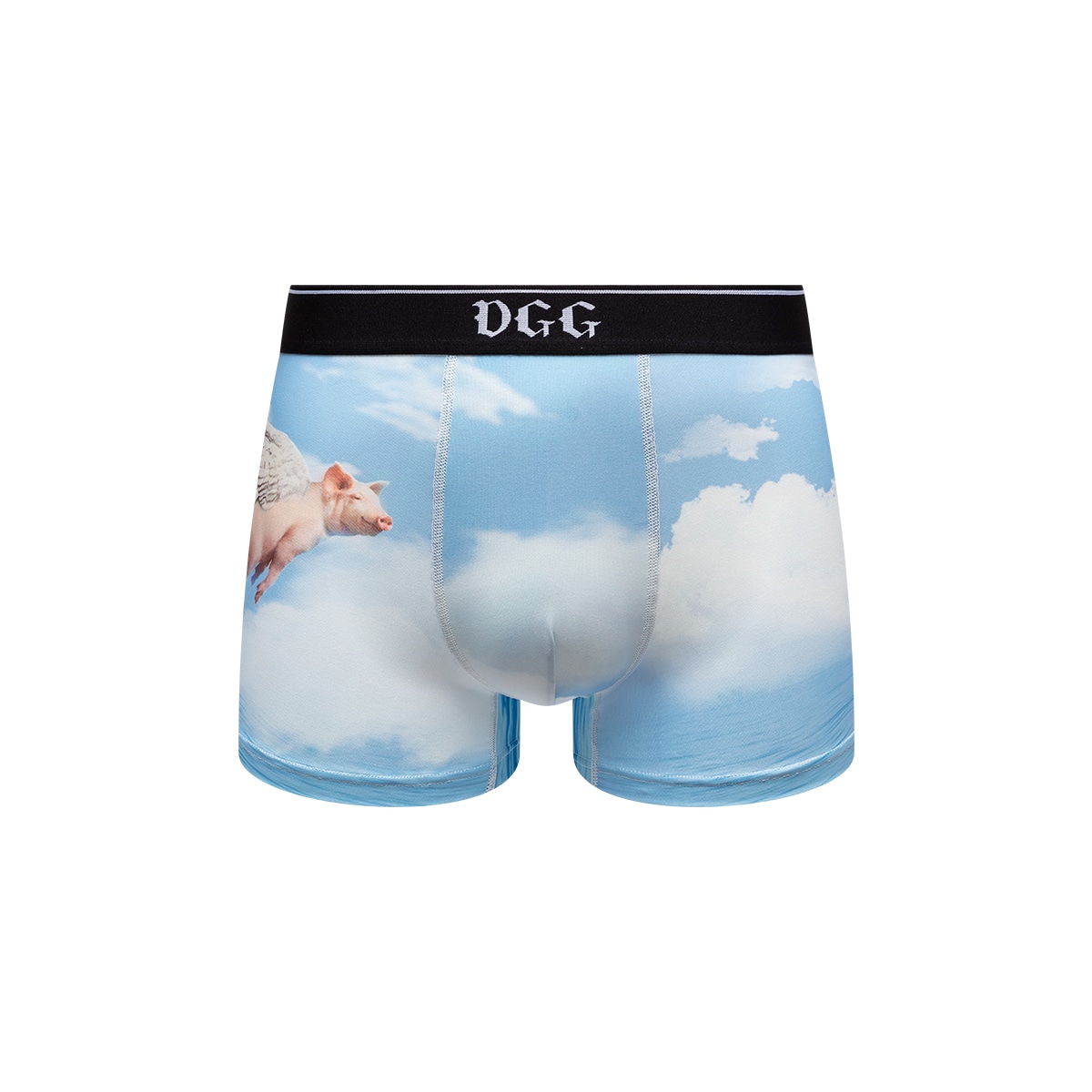 Одежда Dgg