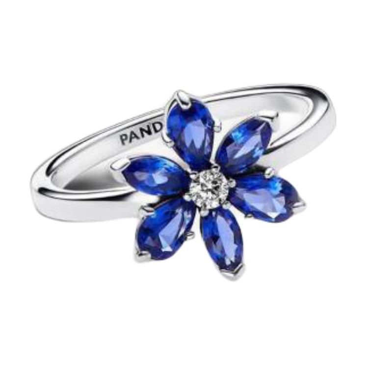 Pandora/潘多拉 Pandora
